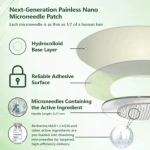 ๐ด๐๐ฅ๐ฆ๐๐ยฎ โ ๐ฉ๐๐๐๐๐ง๐๐ฃ๐ ๐๐๐ฏ๐๐ง๐๐๐ ๐ต๐๐๐-๐๐๐๐๐ก๐ ๐๐๐๐๐ฃ๐ค๐ก๐ค๐๐ฎ