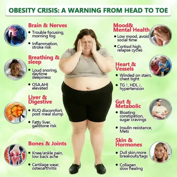 ๐ด๐๐ฅ๐ฆ๐๐ยฎ โ ๐ฉ๐๐๐๐๐ง๐๐ฃ๐ ๐๐๐ฏ๐๐ง๐๐๐ ๐ต๐๐๐-๐๐๐๐๐ก๐ ๐๐๐๐๐ฃ๐ค๐ก๐ค๐๐ฎ