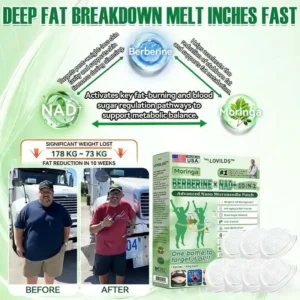 🇺🇸 𝐎𝐟𝐟𝐢𝐜𝐢𝐚𝐥 𝐔𝐒 𝐒𝐭𝐨𝐫𝐞 | 🧑‍⚕️🩺 Doctor-Recommended Daily Metabolic Support LOVILDS® 10-in-1 Moringa · Berberine + NAD+ Nano Patch