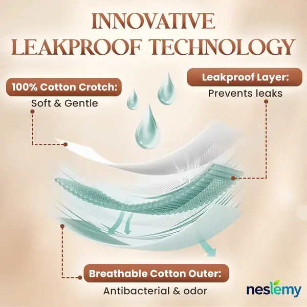 ✨ 2026 New Arrival | NESLEMY™ 100% Leak-Proof Shaping Underwear Slimming Support • Tummy Control • Full Bladder Protection