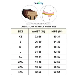 ✨ 2026 New Arrival | NESLEMY™ 100% Leak-Proof Shaping Underwear Slimming Support • Tummy Control • Full Bladder Protection