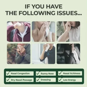 ✅ LOVILDS®  Herbal Sinus Mist - Sinus & Hay Fever Relief Spray (Non-Drowsy)