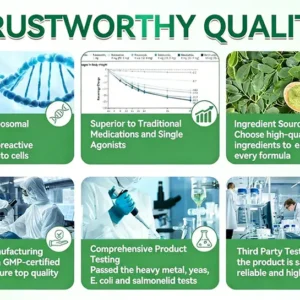 𝐎𝐟𝐟𝐢𝐜𝐢𝐚𝐥 𝐒𝐭𝐨𝐫𝐞 🇺🇸 |Blizkox™ Moringa·Berberine × NAD+ 10-in-1 Nano Microneedle Patch – Daily, Visible Results in 7 Days ✅ For Weight, Skin, Diabetes & Joint Health 🗽