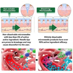 🔥 New Release | Slimoly® 20-IN-1 Advanced Nano Microneedle Patch Moringa × Berberine × NMN/NAD+ Multi-Action Formula