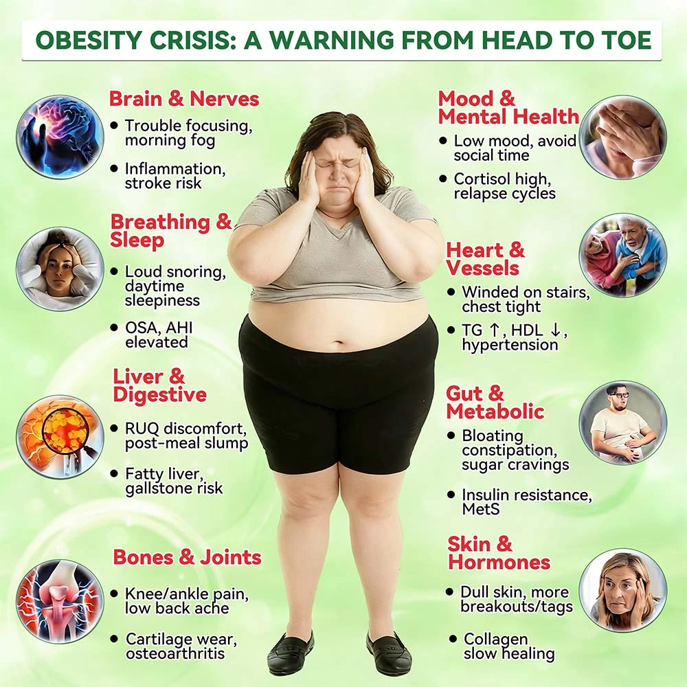 🔥 New Release | Slimoly® 20-IN-1 Advanced Nano Microneedle Patch Moringa × Berberine × NMN/NAD+ Multi-Action Formula